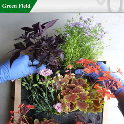 Promotional Make Gardens, Buy Make Gardens Promotion Products at Low Price on Alibaba.com